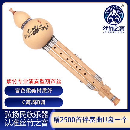 葫芦丝C调降b调F调儿童学生专用楠竹九孔葫芦丝演奏云南名族乐器