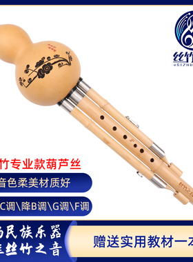 葫芦丝C调成人学生专业演奏型乐器降B调G调F调初学者葫芦丝乐器