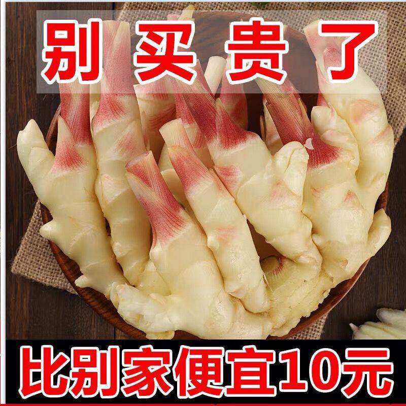 山东红芽姜新鲜嫩姜大仔姜子姜10斤现挖生姜非小黄姜糖醋泡姜蔬菜