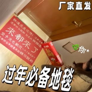 你空手来啊地垫来都来了入户门脚垫除尘耐磨防滑垫子过年丝圈地毯