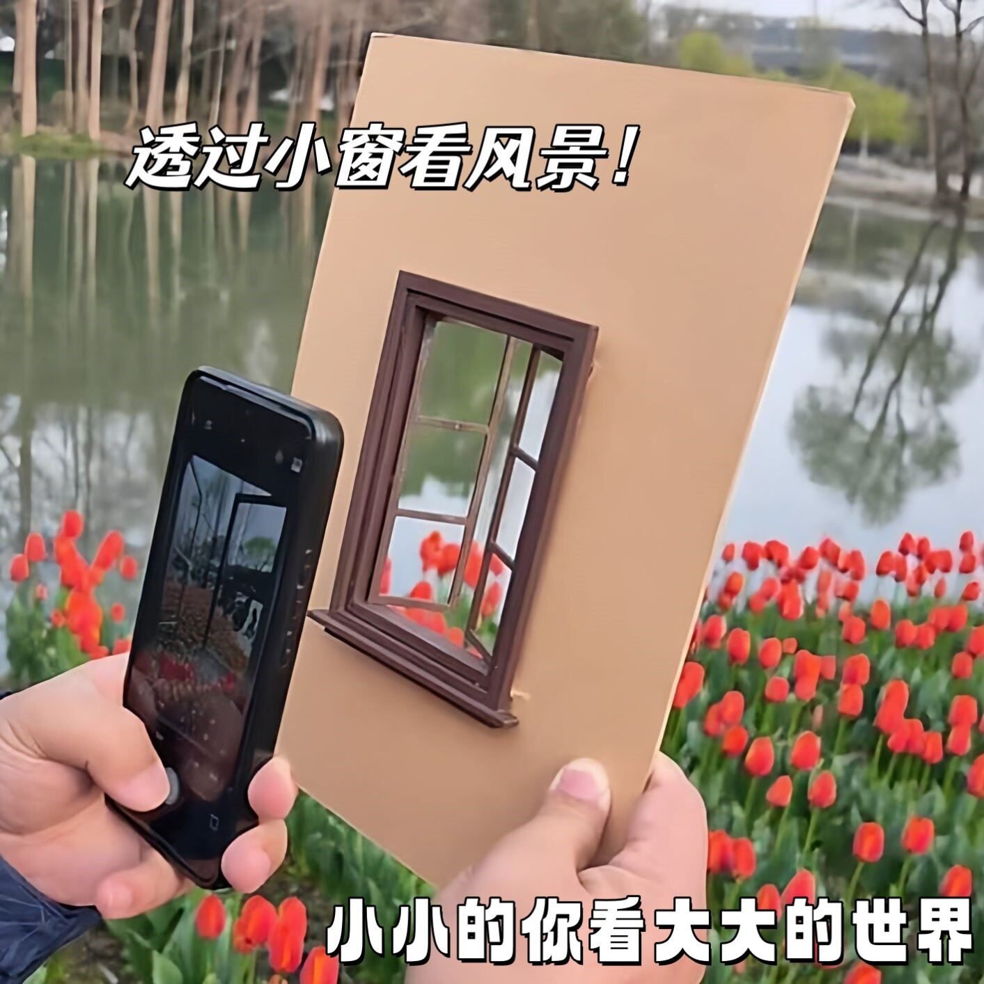 微缩窗户模型郁金香花田拍照