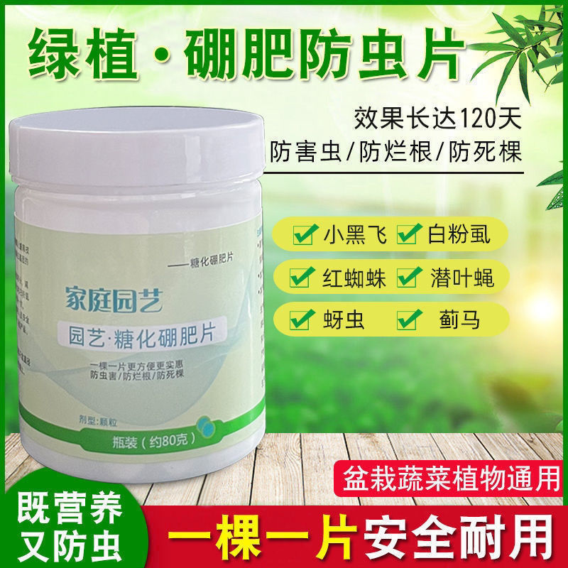 园艺糖化硼肥片防虫片花卉绿植驱虫预防病虫害虫防烂根防死根家庭
