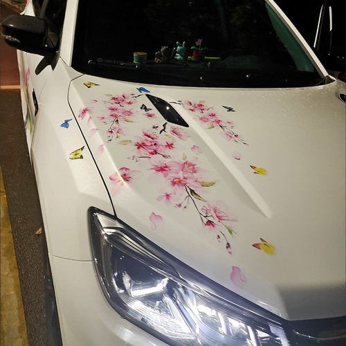 防水车膜车玻璃装饰DIY改装