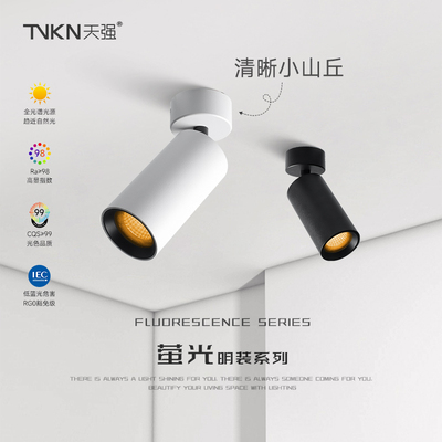 明装清晰小山丘射灯斜顶调角度单头折叠可旋转餐厅客厅沙发背景墙