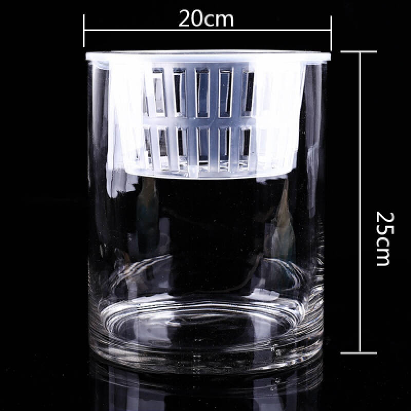 玻璃花盆 水培 圆柱形大号玻璃花瓶水培绿萝花盆酒店宾馆台面摆件