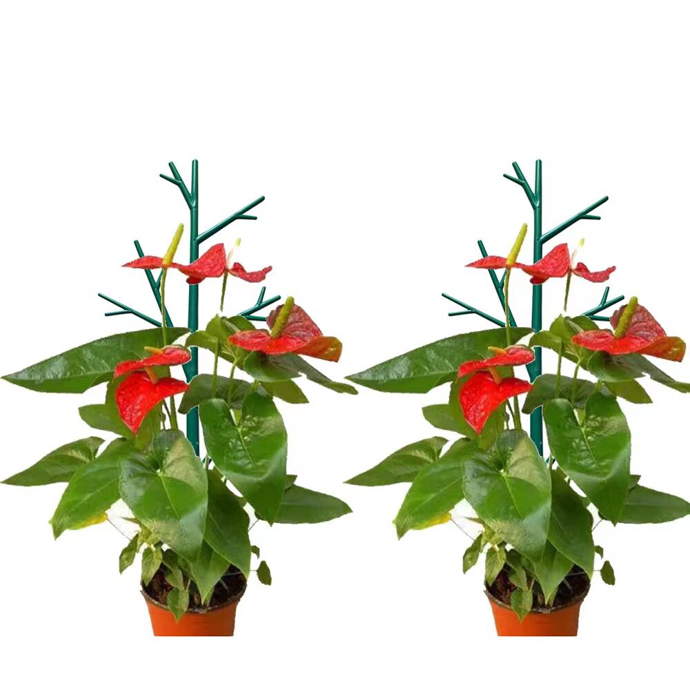 园艺花卉杆植物支架防倒伏阳台庭园艺用品套装