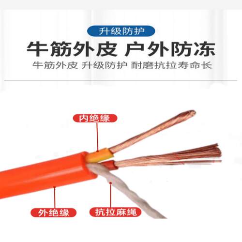 纯铜牛筋电线插头带线2芯25 4平方家用软线护套线户外防冻电缆线