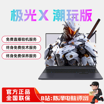 机械革命极光X/潮玩版50系游戏本