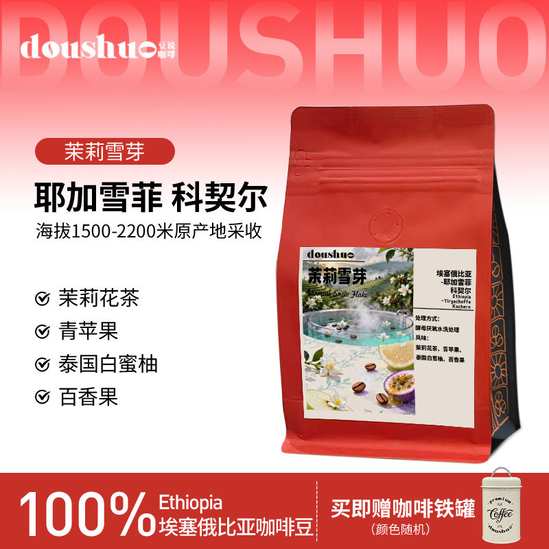 豆说doushuo耶加雪菲 科契尔 茉莉雪芽浅烘焙咖啡豆