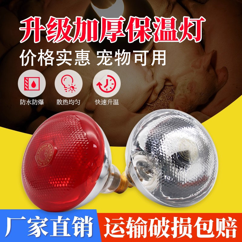养殖取暖加热灯防爆节能保温灯