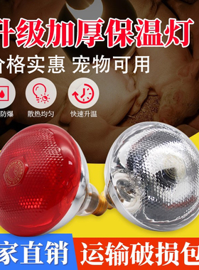 保温灯养殖兽用取暖灯猪场育雏照明加热灯防水防爆鸡鸭宠物用灯泡