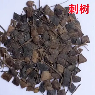 勒子刺树种子围园簕簕籽四季树种子围园刺篱笆荆棘种子有刺银合欢