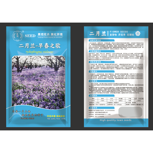 二月兰花种子诸葛菜种孑四季播种网红草美化庭院花卉耐寒花种籽子