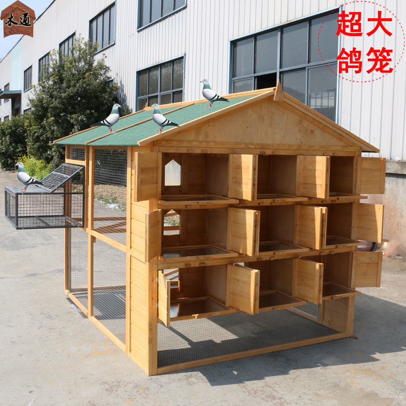 木制鸽舍户外实木鸽具赛鸽笼肉鸽棚鸽子养繁殖笼家用大号信鸽棚木