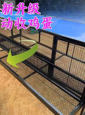 养殖笼户外母鸡下蛋笼自动收蛋笼