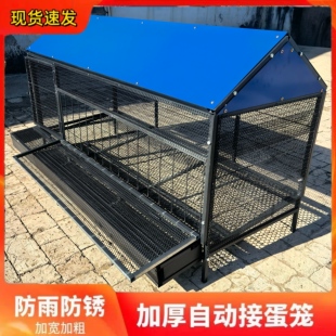 鸡笼家用室外铁丝网大号防雨防黄鼠狼防鼠养殖鸡笼防啄鸡下蛋鸡笼