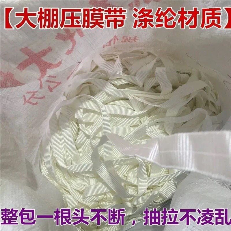 促销园艺大棚压膜绳拉膜线耐磨抗老化加厚压膜带防风绳树枝拉线