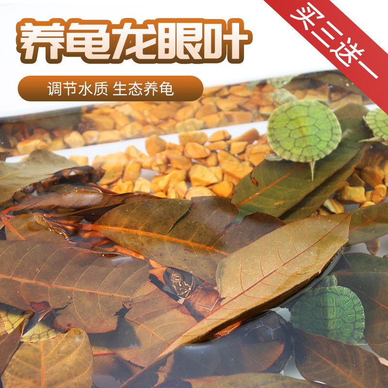 免煮乌龟龙眼叶腐皮养龟用品水族鱼缸榄仁叶懒人调节水质造景