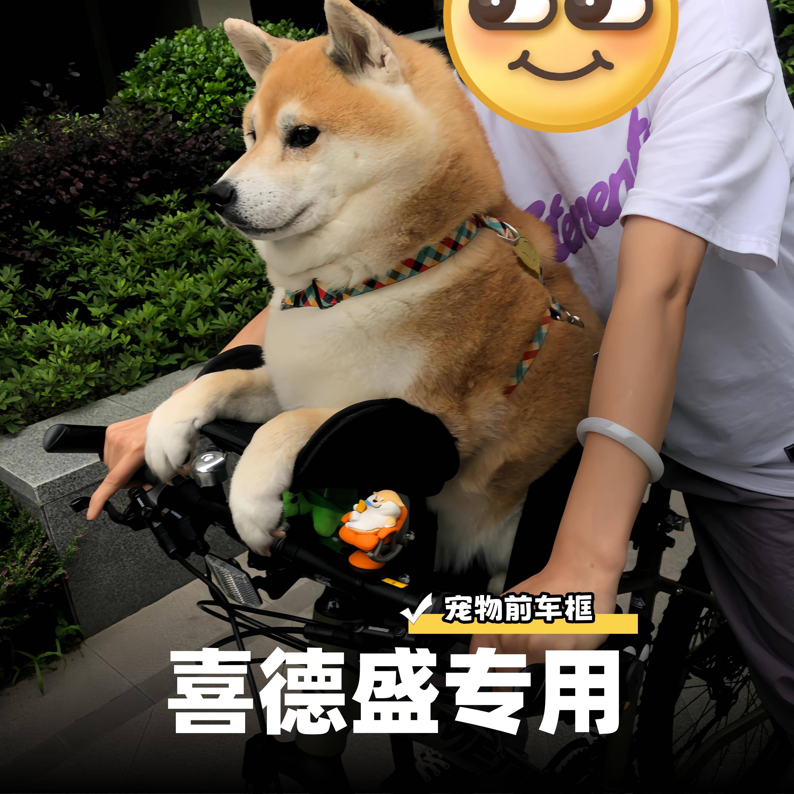 适用喜德盛自行车宠物筐山地公路车前置狗狗座椅遛猫载狗神器车篮