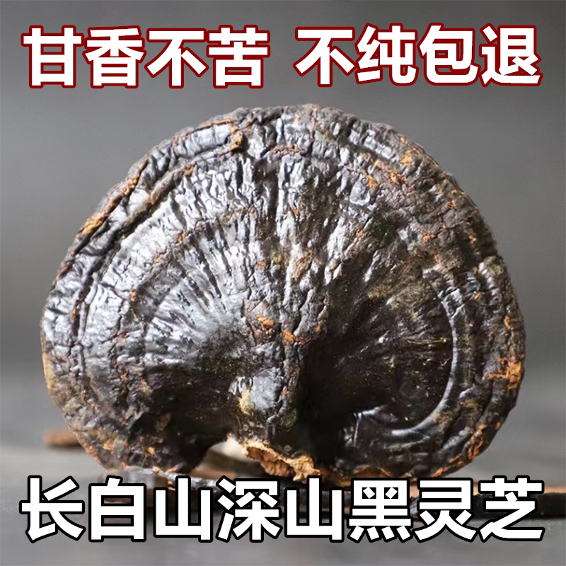 整朵切片黑灵芝长白山