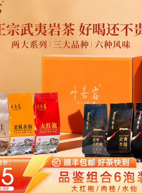 叶嘉岩 武夷岩茶大红袍茶叶肉桂老枞水仙岩茶乌龙茶试喝品鉴装6泡