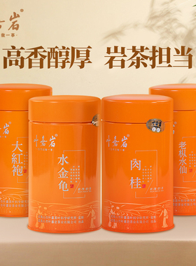叶嘉岩铁罐肉桂岩茶武夷山大红袍口粮茶乌龙茶老枞水仙礼盒装100g