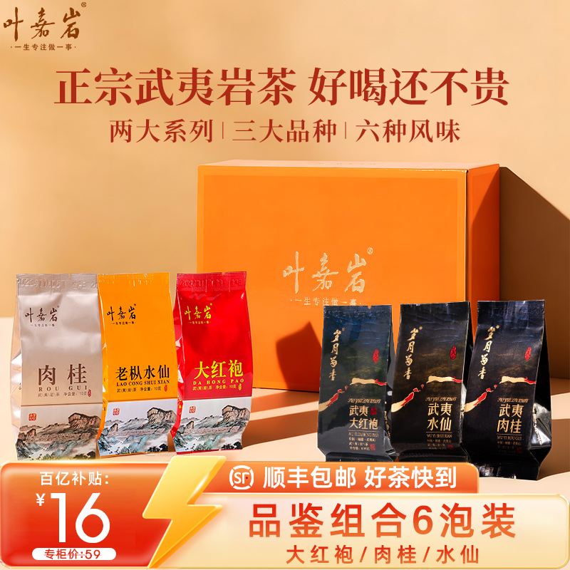叶嘉岩 武夷岩茶大红袍茶叶肉桂老枞水仙岩茶乌龙茶试喝品鉴装6泡