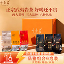 叶嘉岩 6泡 武夷岩茶大红袍茶叶肉桂老枞水仙岩茶乌龙茶试喝品鉴装