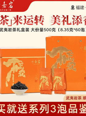 叶嘉岩 不慌肉桂岩茶大红袍武夷山乌龙茶老枞水仙自饮口粮茶500g