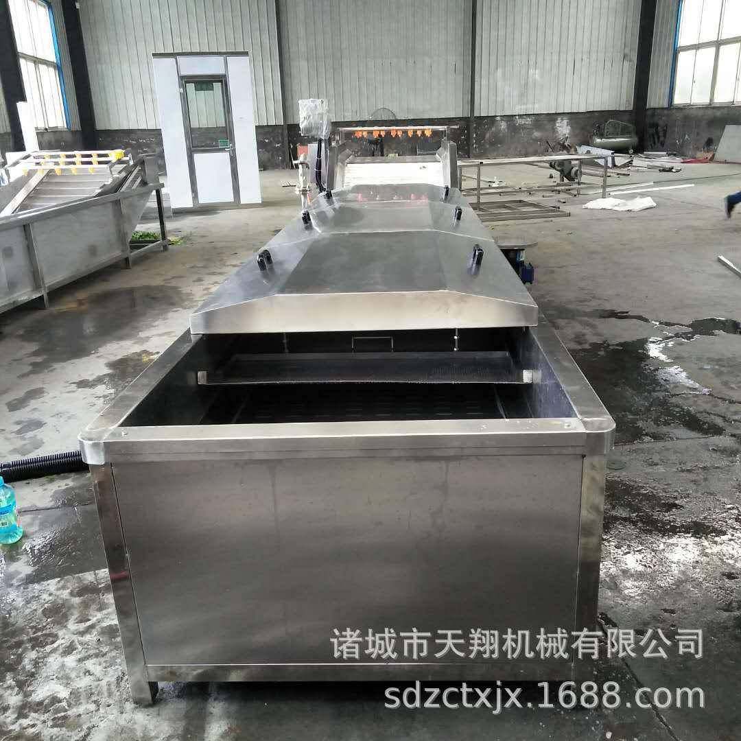 天翔厂家定做木耳 金针菇漂烫机,蔬菜杀青机,西兰花杀青机质量优
