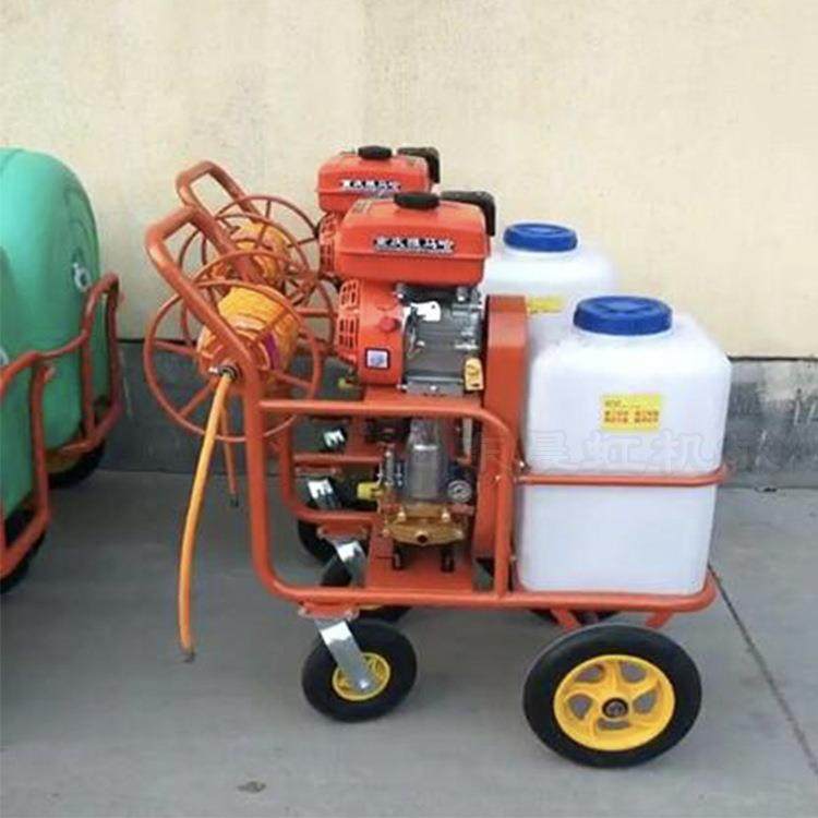 果园农田打药机 手推汽油打药机 多功能高喷压喷雾机,农机/农具/农膜,植保机械,淘宝优惠券,粉丝福利购,淘宝优惠卷