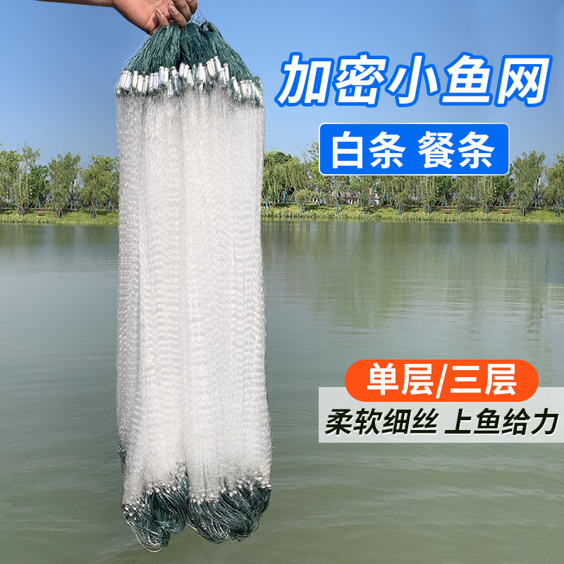 单层渔网粘网白条餐条专用小鱼网丝网三层沉网浮网捕鱼网6分1指高