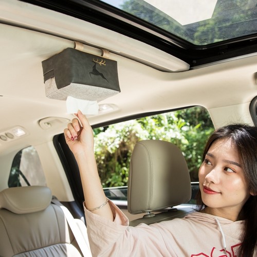 汽车创意天窗挂式帆布车用纸巾盒