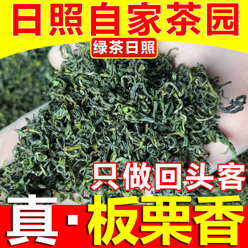 日照绿茶 新茶叶浓香型板栗香豆香手工炒青耐泡250/500克散装