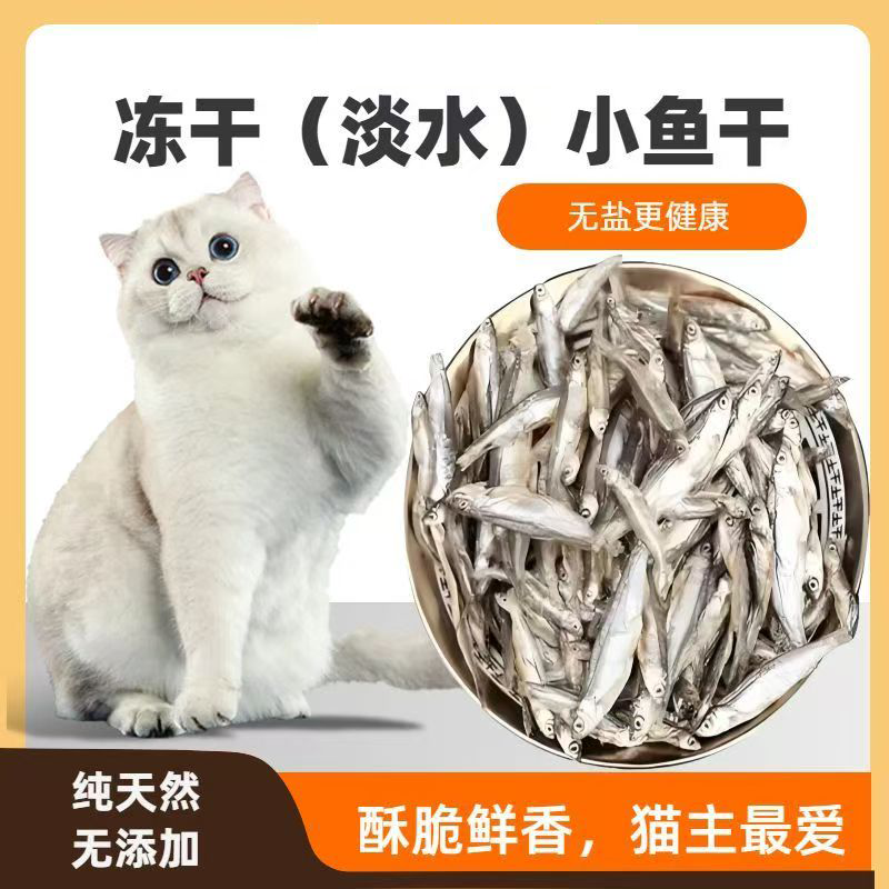 小鱼干猫猫零食宠物无盐猫咪增肥发腮冻干鱼干猫粮营养磨牙奖励,宠物/宠物食品及用品,猫风干零食/肉干/鱼干,淘宝优惠券,粉丝福利购,淘宝优惠卷