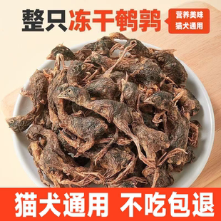 冻干鹌鹑猫咪宠物狗零食增肥发腮零食冻干粮生骨肉小鹌鹑猫咪零食