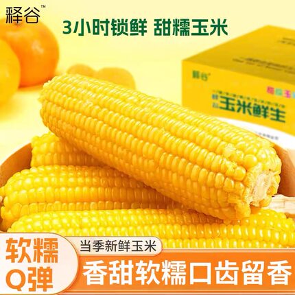 释谷精选乳期真空鲜制东北甜糯黄玉米真空锁鲜黏糯苞米