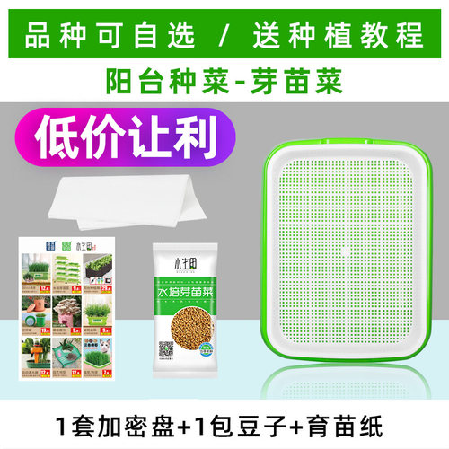 家庭无土种菜水培蔬菜设备栽培盆阳台装饰地面省空间芽苗菜育苗盘
