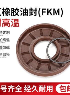 氟胶TC骨架油封440*450*480*490*510*520*530*540*20*25