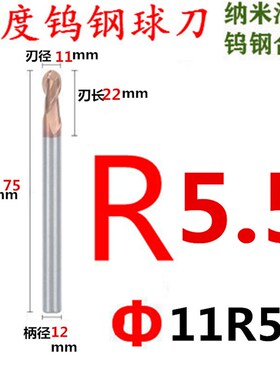 55度钨钢球头圆弧立铣刀硬合金双刃2.5R1.25d0.75R1.7.5.5R13R4R6