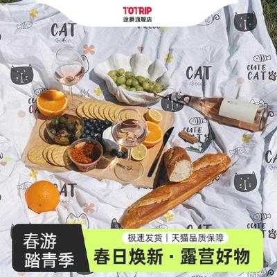 户外春游露营一次性野餐垫防潮垫