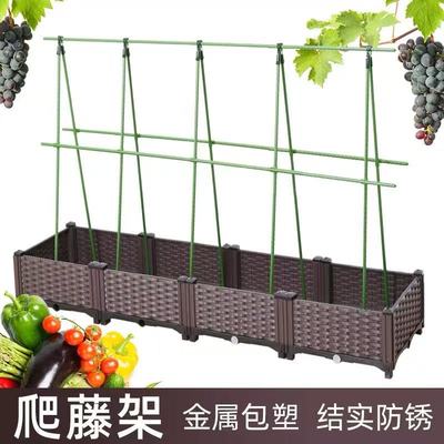 黄瓜爬藤架豆角支撑杆子番茄葡萄搭棚架户外种菜植物芸豆爬藤花架