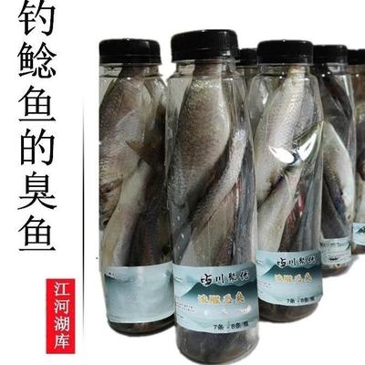 野钓鲶鱼饵料发酵臭鱼大口