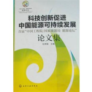 【正版】科技创新促进中国能源可持续发展 首届中国工程院 国家能源局能 杜祥琬