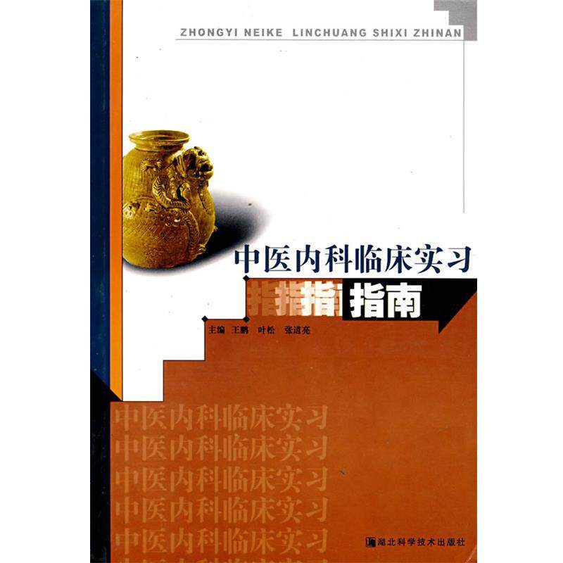 【正版书】 中医内科临床实习指南 王鹏 等主编 湖北科学技术出版社