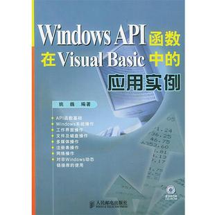 正版 应用 Windoas Basic中 姚巍 API函数在Visual