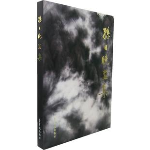 孙日晓 孙日晓画集 绘 正版