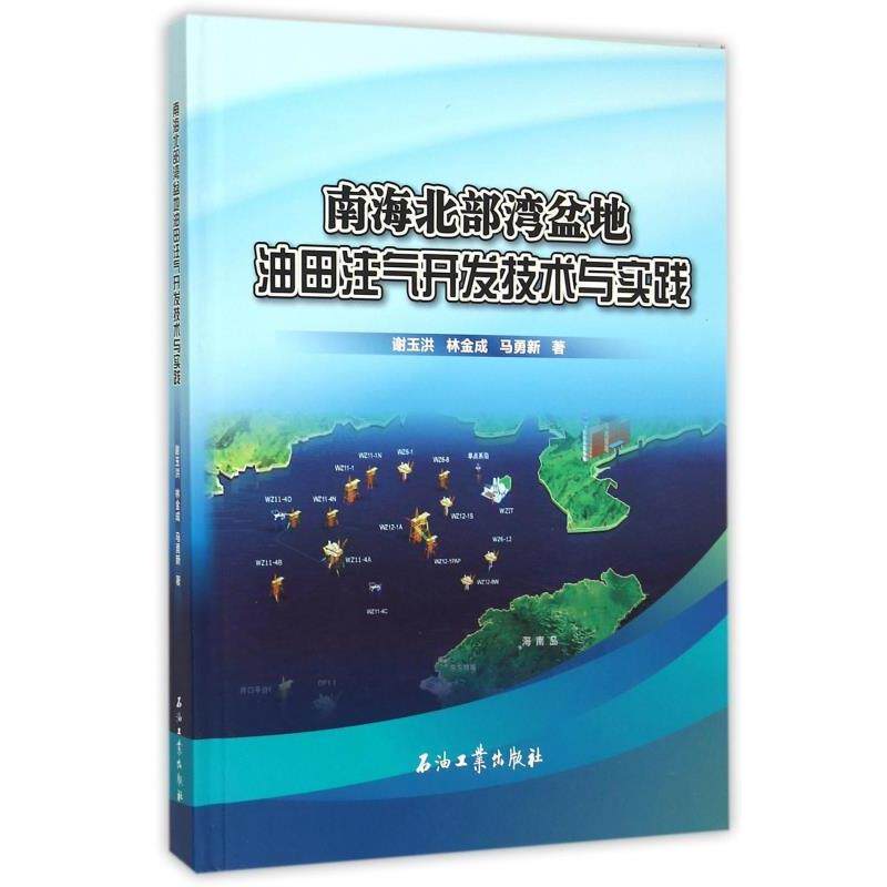 【正版书】 南海北部湾盆地油田注气开发技术与实践 谢玉洪,林金成,马勇新 著 石油工业出版社