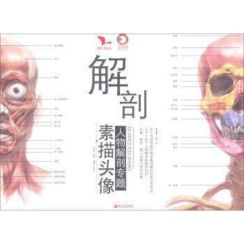 【正版书】 解剖:素描头像 我有我一套系列丛书 叶虎,孙建 燕山大学出版社