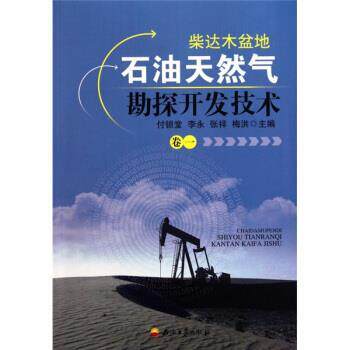 【正版书】 柴达木盆地石油天然气勘探开发技术 付锁堂 等 著 石油工业出版社